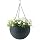 Keter Vaso da Fiori all'aperto Hanging Sphere Planter Coffee Mocha Colore Antracite Graphite Dark Brown (1, Anthracite)