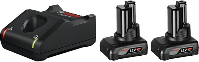 Bosch Professional 12V System accu-starterset 2x GBA 12V 6.0Ah-accu en snellader GAL 12V-40 (in kartonnen doos)